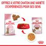 Cat Kitten Sterilised Royal Canin Emincé en gelée Sachet repas