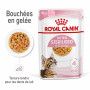 Cat Kitten Sterilised Royal Canin Emincé en gelée Sachet repas