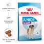 Dog Junior Giant