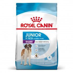 Dog Junior Giant