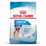 Dog Junior Giant