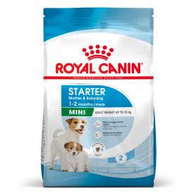 Dog Starter Mother & Babydog Mini