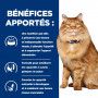 K/D J/D Kidney+Mobility Croquettes pour Chat au Poulet