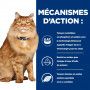 K/D J/D Kidney+Mobility Croquettes pour Chat au Poulet