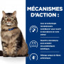 Gastrointestinal Biome Mijotés pour Chat Poulet & Légumes