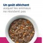 Gastrointestinal Biome Mijotés pour Chat Poulet & Légumes