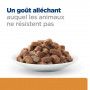 k/d Kidney Sachet Repas pour Chat Boeuf