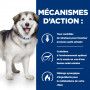 c/d Urinary Multicare+Metabolic Croquettes pour Chien