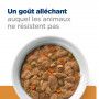 k/d Kidney Mijotés pour Chien Poulet & Légumes