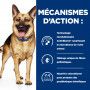 Gastrointestinal Biome Mijotés pour Chien Poulet & Carottes