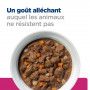 Gastrointestinal Biome Mijotés pour Chien Poulet & Carottes