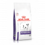 Pack'Avenue Royal Canin Petit Chien Adulte Stérilisé