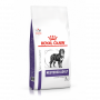 Pack'Avenue Royal Canin Grand Chien Adulte Stérilisé