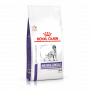 Pack'Avenue Royal Canin Chien Adulte Sénior
