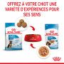 Dog Puppy Maxi Sachet repas