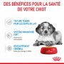 Dog Puppy Medium Sachet repas