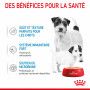 Dog Starter Mother & Babydog Mousse Boîte