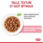 Cat Kitten Stérilisé Royal Canin Emincé en sauce Sachet repas