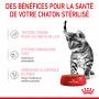 Cat Kitten Stérilisé Royal Canin Emincé en sauce Sachet repas