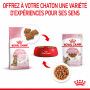 Cat Kitten Stérilisé Royal Canin Emincé en sauce Sachet repas