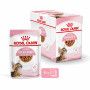 Cat Kitten Stérilisé Royal Canin Emincé en sauce Sachet repas