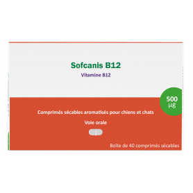 Sofcanis B12