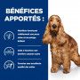 z/d Food Sensitivities Croquettes pour Chien