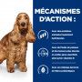 z/d Food Sensitivities Croquettes pour Chien