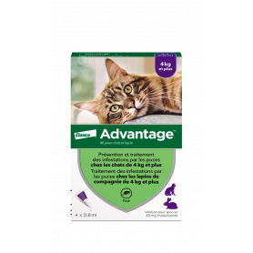 Advantage 80 Chat/Lapin de plus de 4 kg