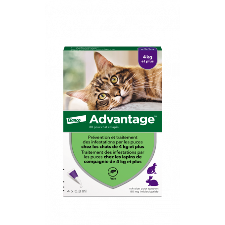 Advantage 80 Chat/Lapin de plus de 4 kg