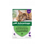 Advantage 80 Chat/Lapin de plus de 4 kg