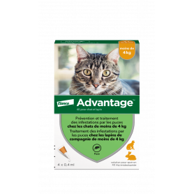 Advantage 40 Chat/Lapin de moins de 4 kg