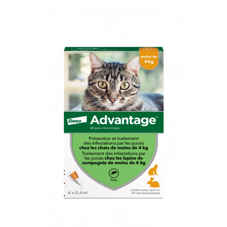 Advantage 40 Chat/Lapin de moins de 4 kg