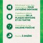 Friandises Greenies Teenie pour chien