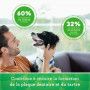 Friandises Greenies Teenie pour chien