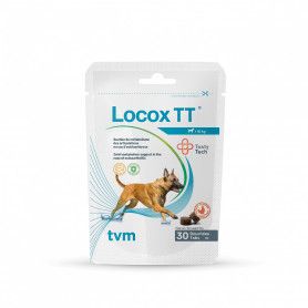 Locox TT- Soutien des articulations en cas d'ostéoarthrose, chien