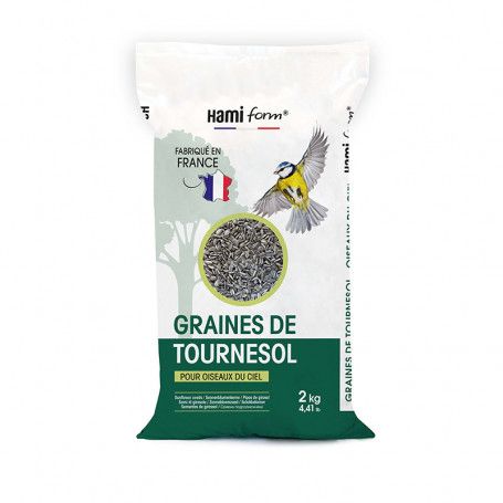 Graines de Tournesol