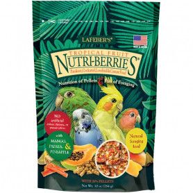 Nutri-Berries Tropical Fruit Parakeet & Cockatiel