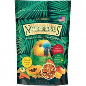 Nutri-Berries Tropical Fruit Parrot