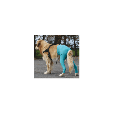 Gilet Protection arrière VetMedCare pour chien
