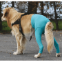 Gilet Protection arrière VetMedCare pour chien