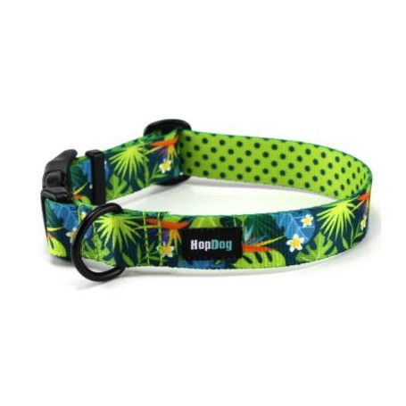 Collier Hop Dog Tropics Time