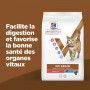 Vet Essentials Mult-Benefit Chat Adult No Grain Thon & Pomme de terre