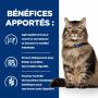 Sachet Repas Gastrointestinal Biome pour Chat