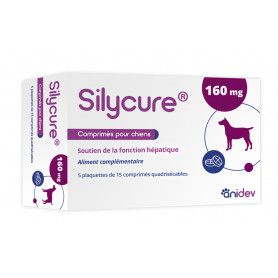 Silycure 160mg