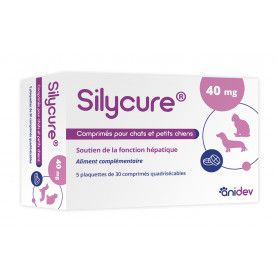 Silycure 40mg