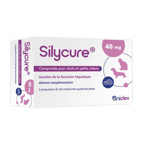 Silycure 40mg