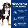 Chien j/d Metabolic + Mobility Poulet Boîte