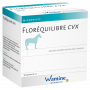 Floréquilibre chevaux