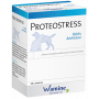 Wamine Proteostress PA